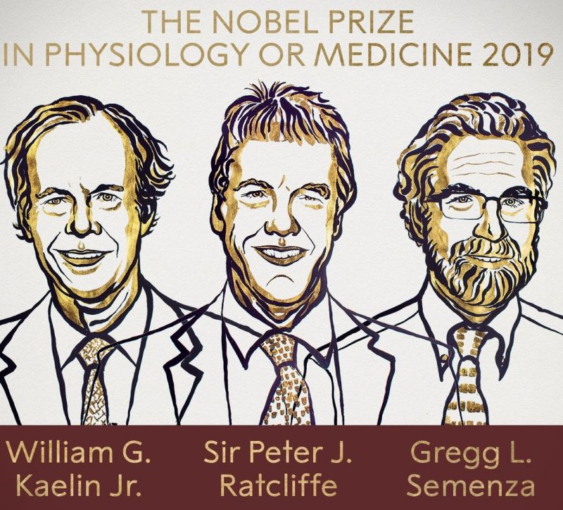 News Photo 1 - Europe - Otta Nottathil - nobel_medicine_2019