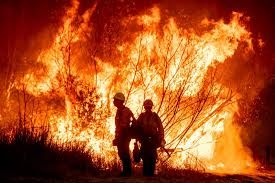 News Photo 1 - America - Otta Nottathil - loas_angeles_wildfire_kills_24
