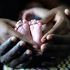 nigeria_fertility_clinic_fraud