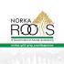 norka_help_for_nri_families