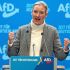 anti_demo_afd_anice_weidel_hamburg