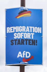 Photo #1 - Germany - Samakaalikam - afd_threat_to_migrants_in_germany