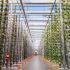 vertical_farming_office