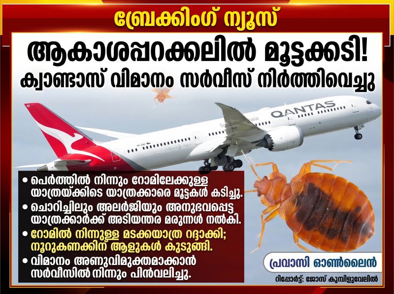 Europe - Otta Nottathil - parasites_bite_passengers_quantas_flight_halts_due_to_bedbugs_oct_13_2026 News Photo 1 - Europe - Otta Nottathil - parasites_bite_passengers_quantas_flight_halts_due_to_bedbugs_oct_13_2026